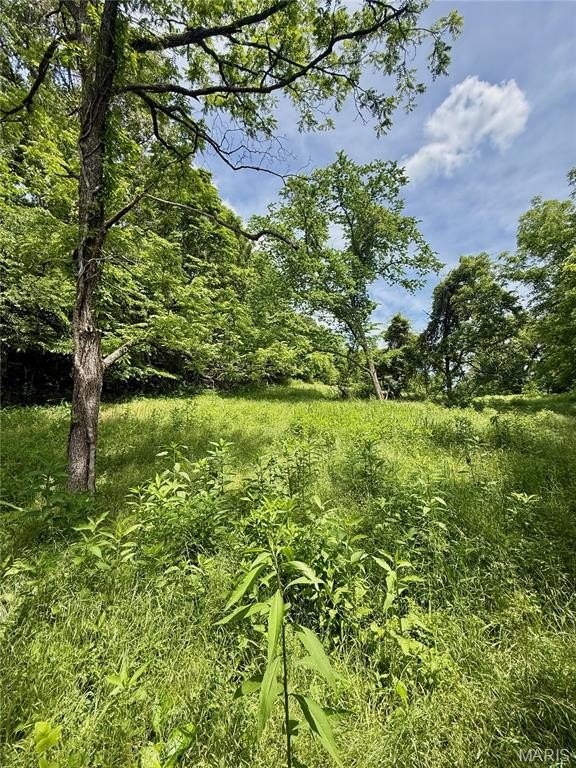 Other - Tbd Range Ln. Tract 5, Unincorporated, MO