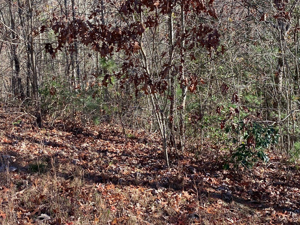 Other - Lot 24 Thimble Loop, MURPHY, NC