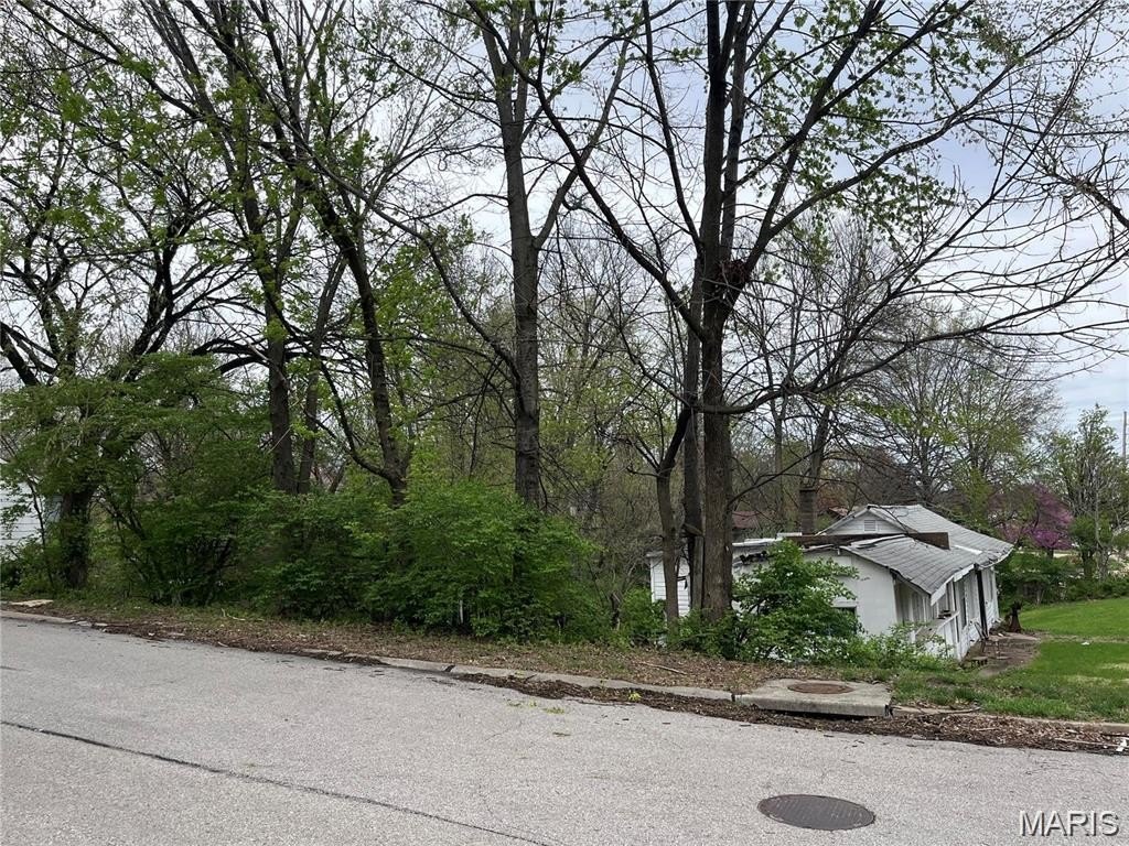 Other - 3001-3005 Ashby Road, St Louis, MO