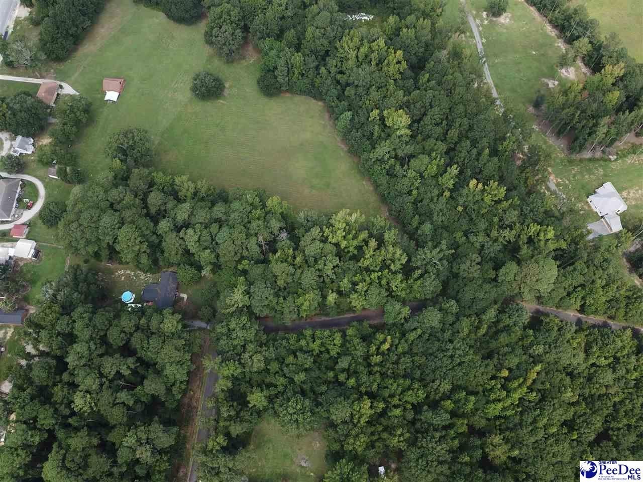 Single Family - TBD Maple Dr., Hartsville, SC