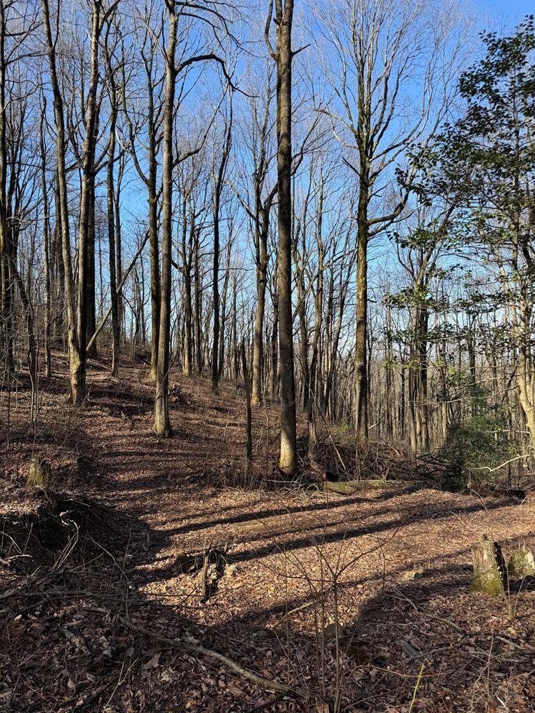 Other - 6180 Burnt Mountain Road, Ellijay, GA