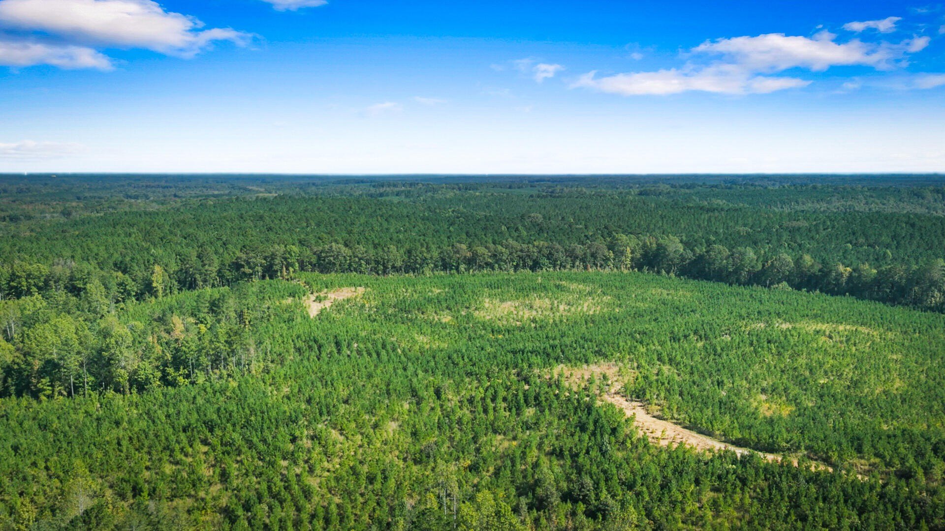 Single Family - CR 4101, New Site, MS