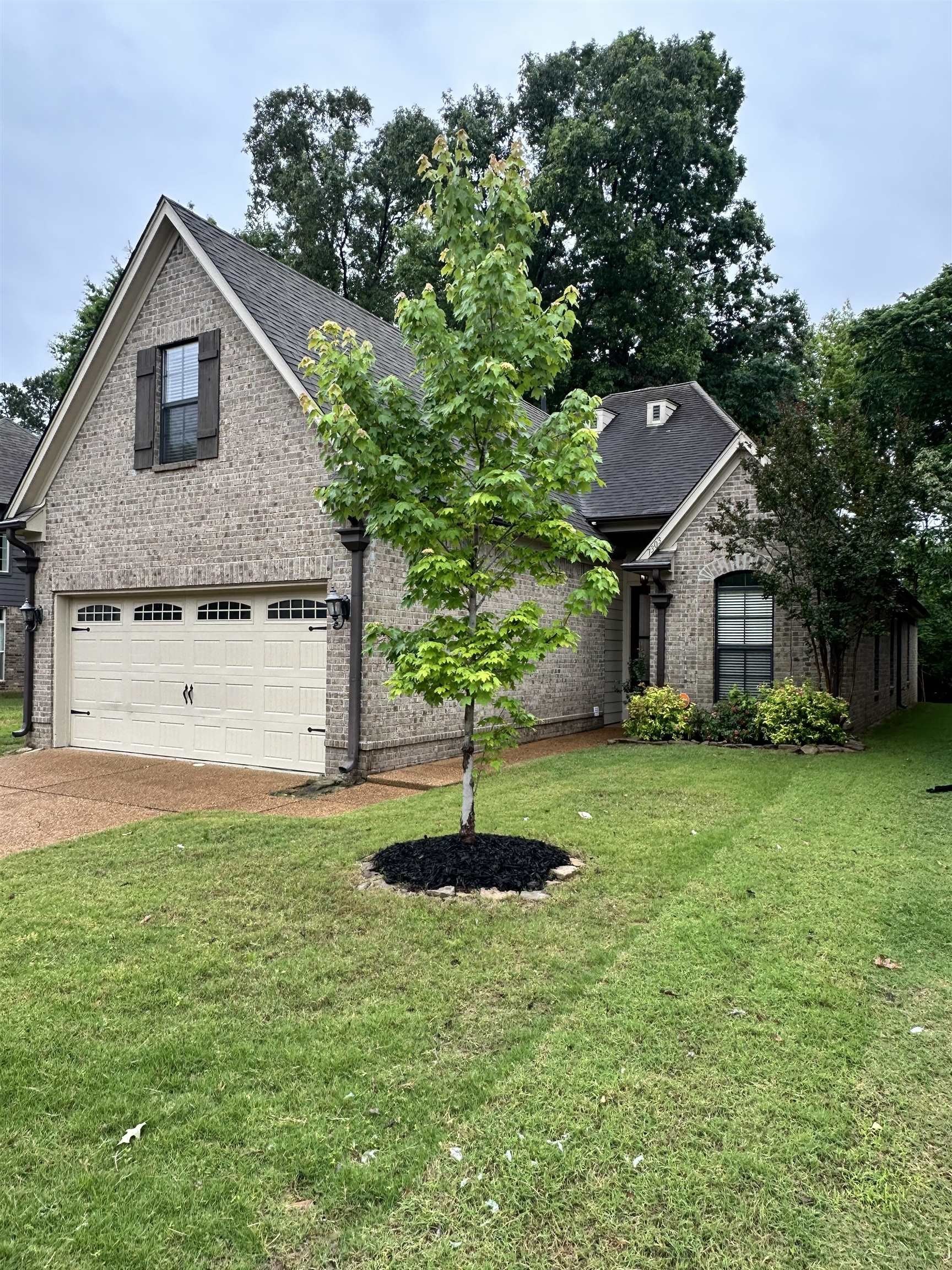 Other 3BR 3BA - 7303 WINTERBROOK Ln, Memphis, TN