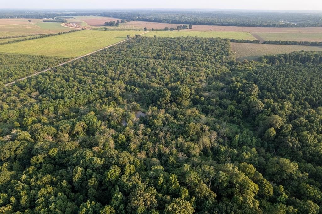 Other - Little River 35 (40 acres), Ogden, AR