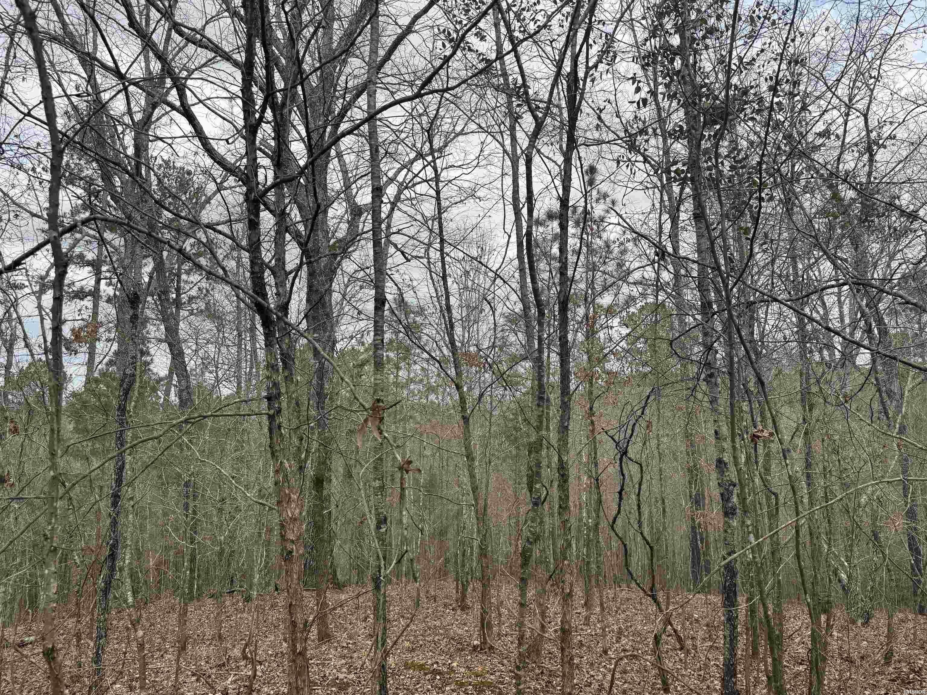 Single Family - 9 lots PIRATE Drive, Hot Springs, AR