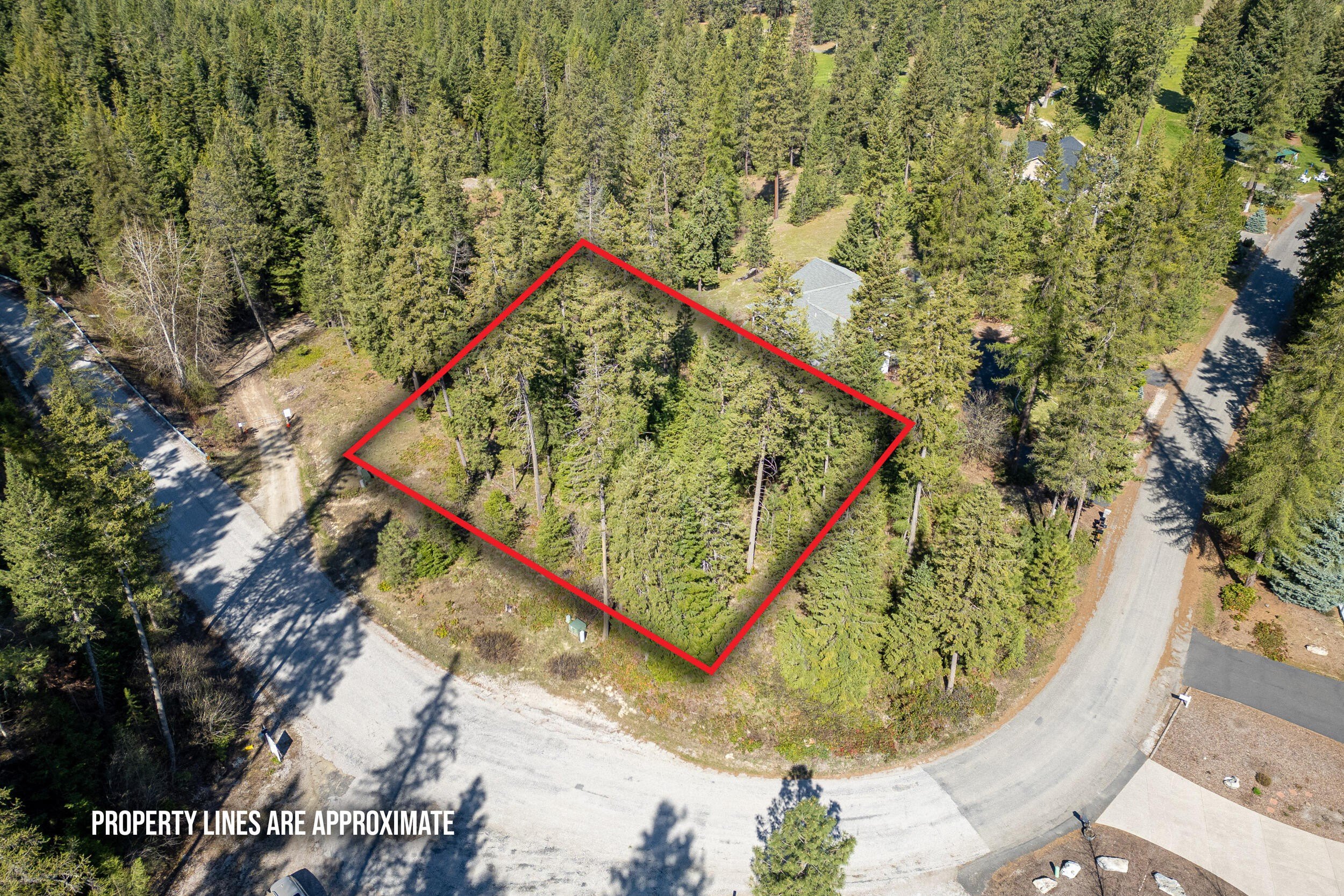 Other - 6XX PALMER LN, CHEWELAH, WA