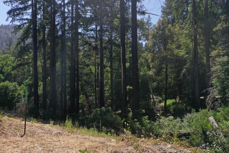 Other - 14965 Virginia AVE, BOULDER CREEK, CA
