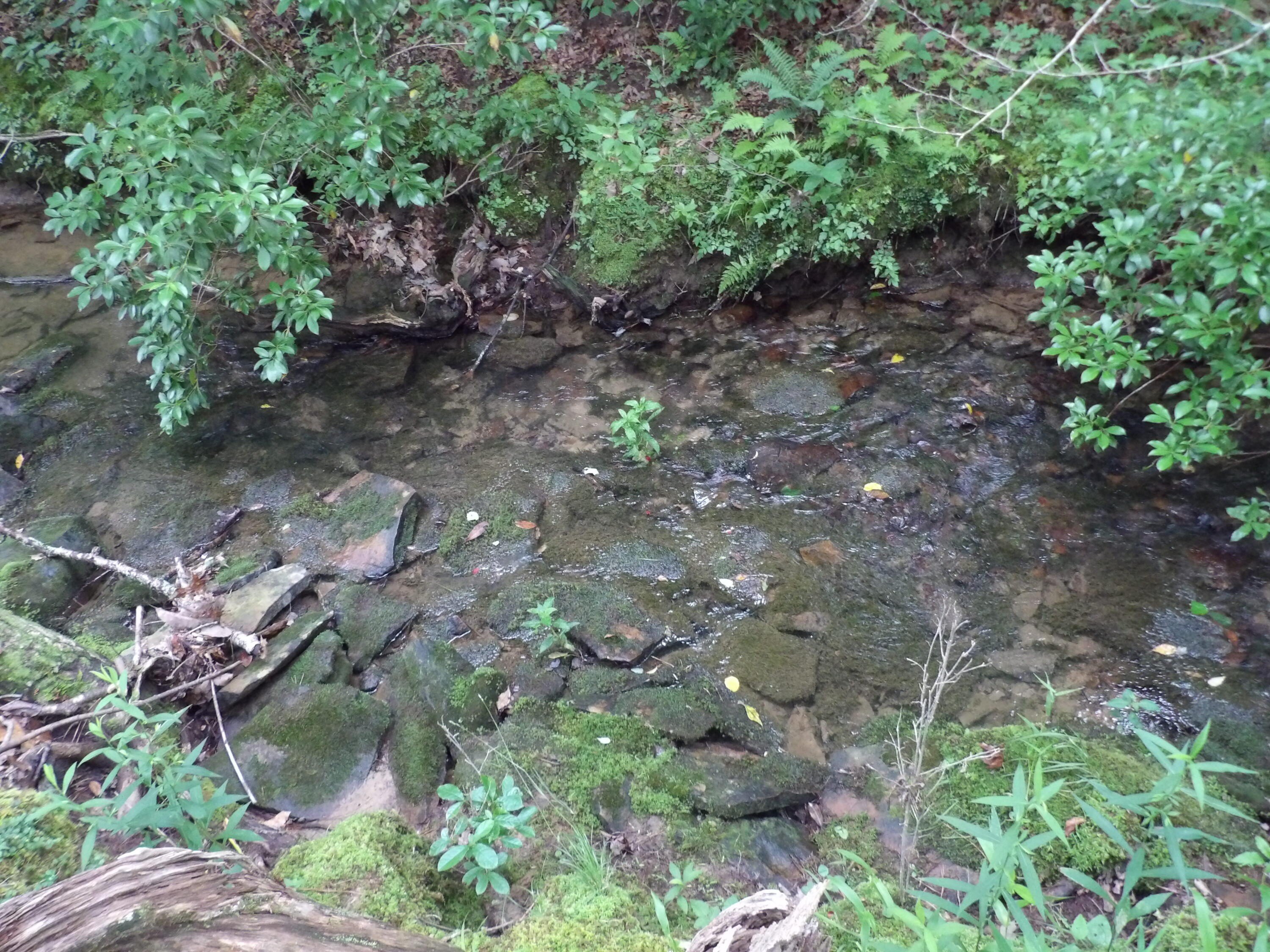Other - Hughes Road lot: 7, Pikeville, TN