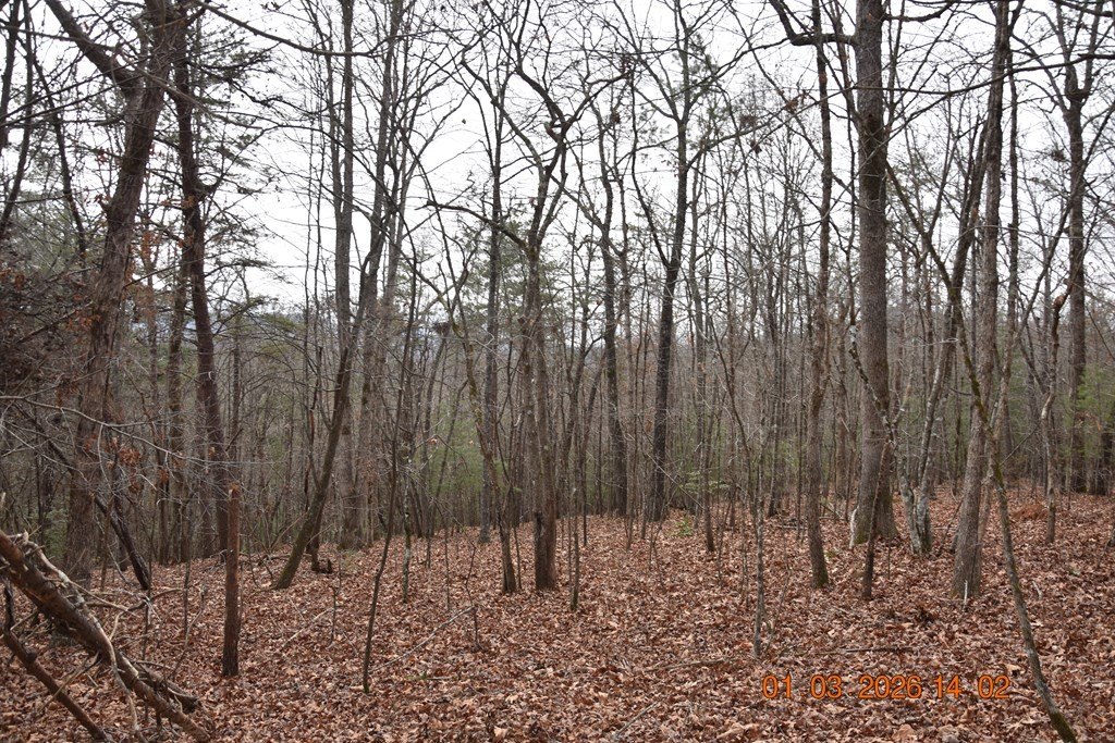 Other - 167 Swaims Road, Hayesville, NC