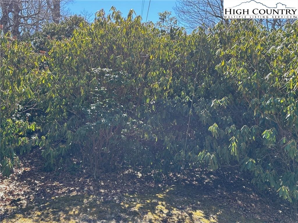 Other - 678 Dameron Drive, Blowing Rock, NC