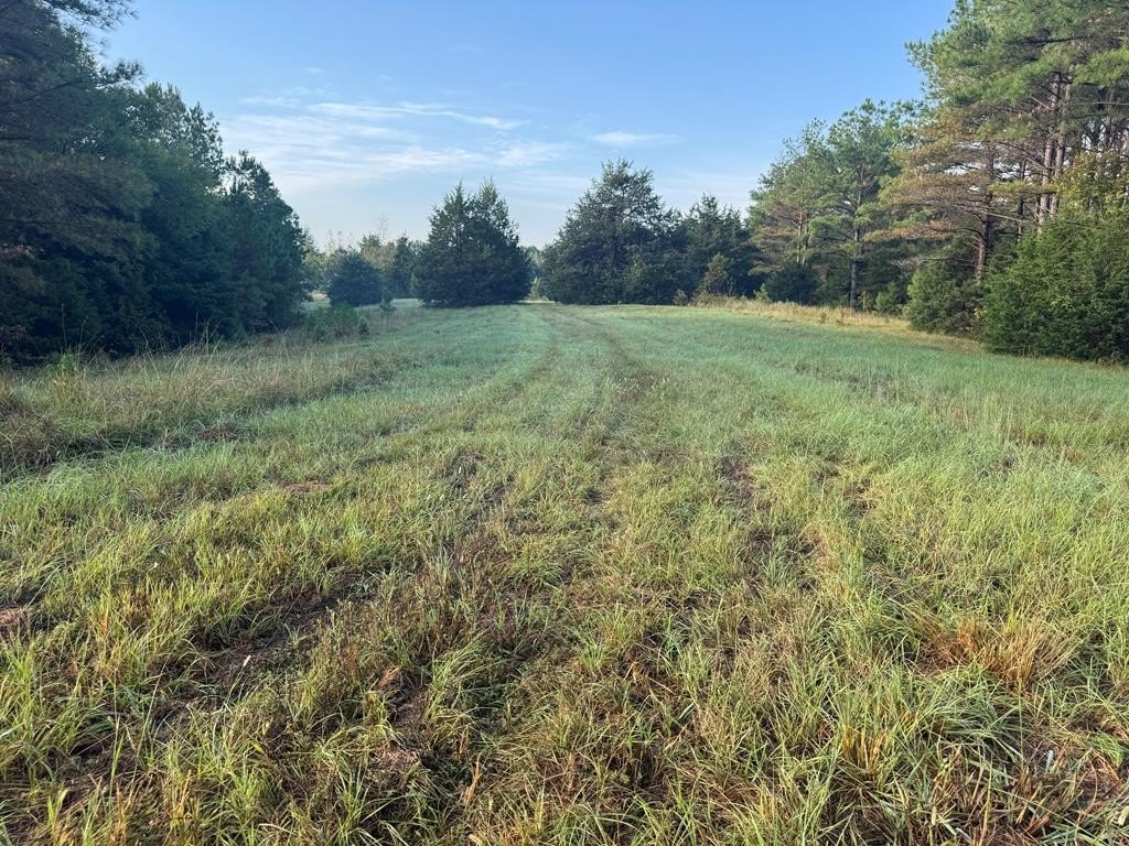 Other - Cr 367, Oxford, MS