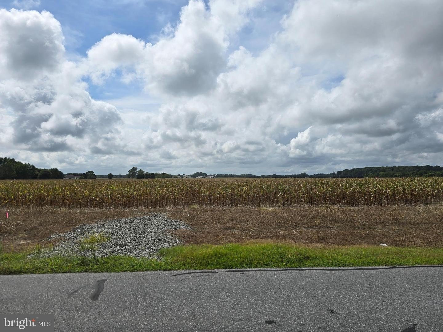 Plots and Land - LOT 4 GRAY ROAD, DAGSBORO, DE
