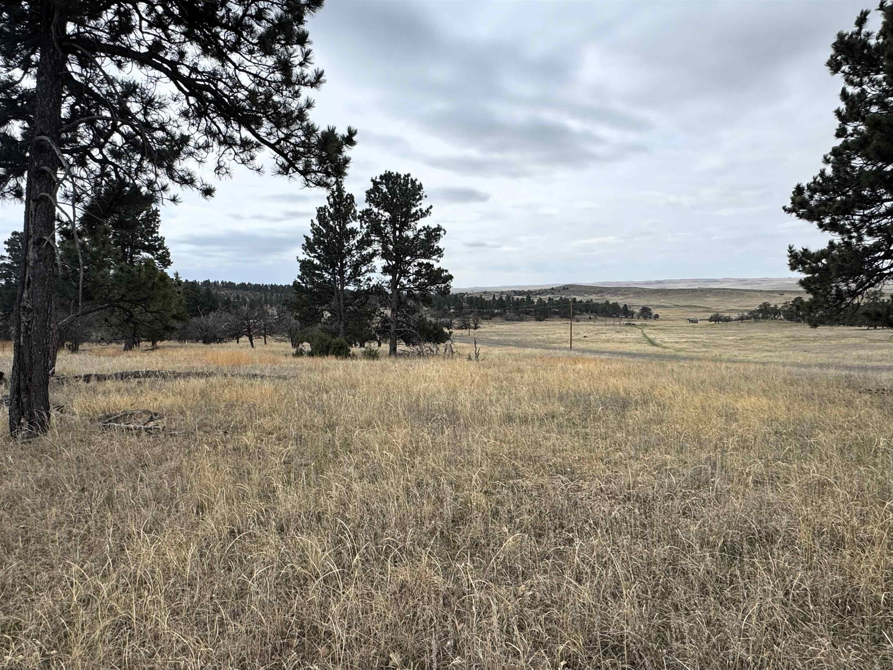 Other - Tract 4, Oshoto, WY