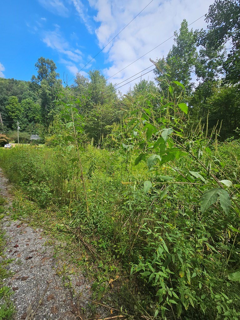 Other - 24.74 AC E Fork Rd, Sylva, NC