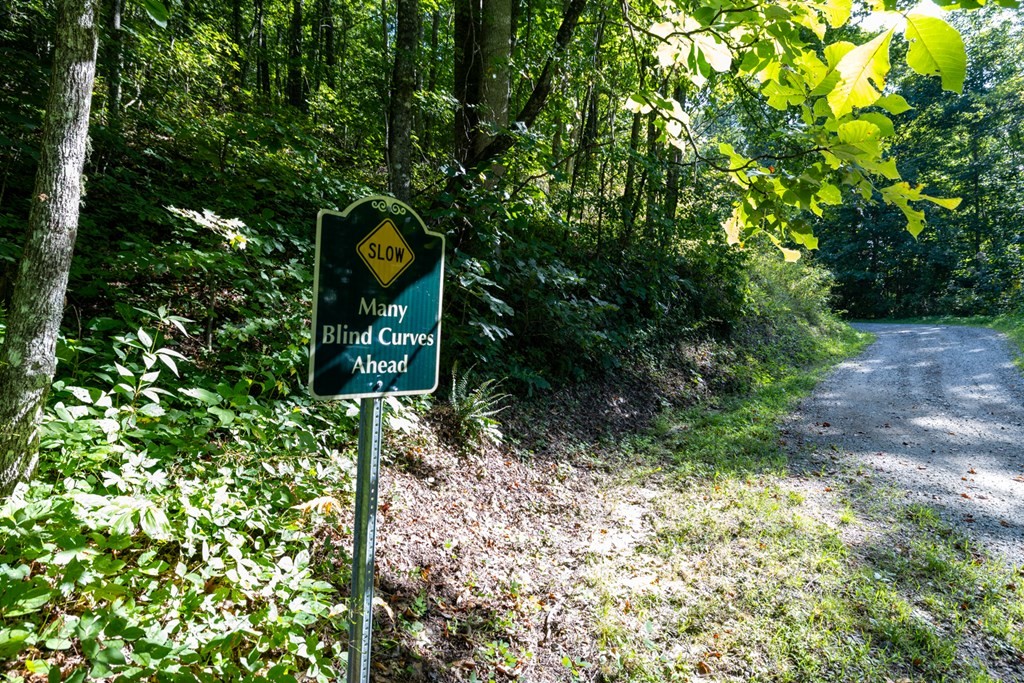 Other - S Cliff Rd lot: 10, Cullowhee, NC