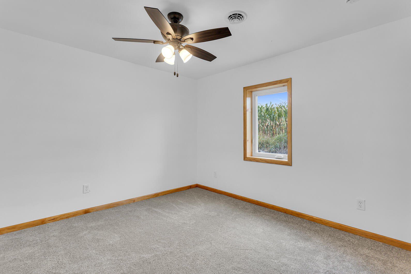 Single Family 3BR 2BA - 19822 27-1/2 Mile Road, Albion, MI