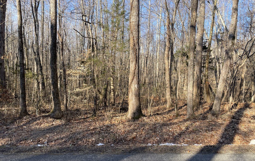 Other - 8.2AC Planterville Road, Drakes Branch, VA
