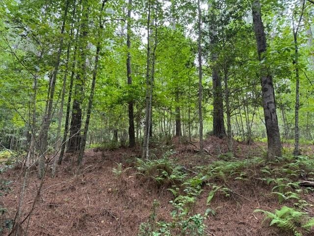 Other - Deyton Drive lot: Track A, Blairsville, GA