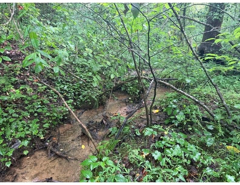 Other - 4.1 Ac Charlotte Mountain Road, Ellijay, GA