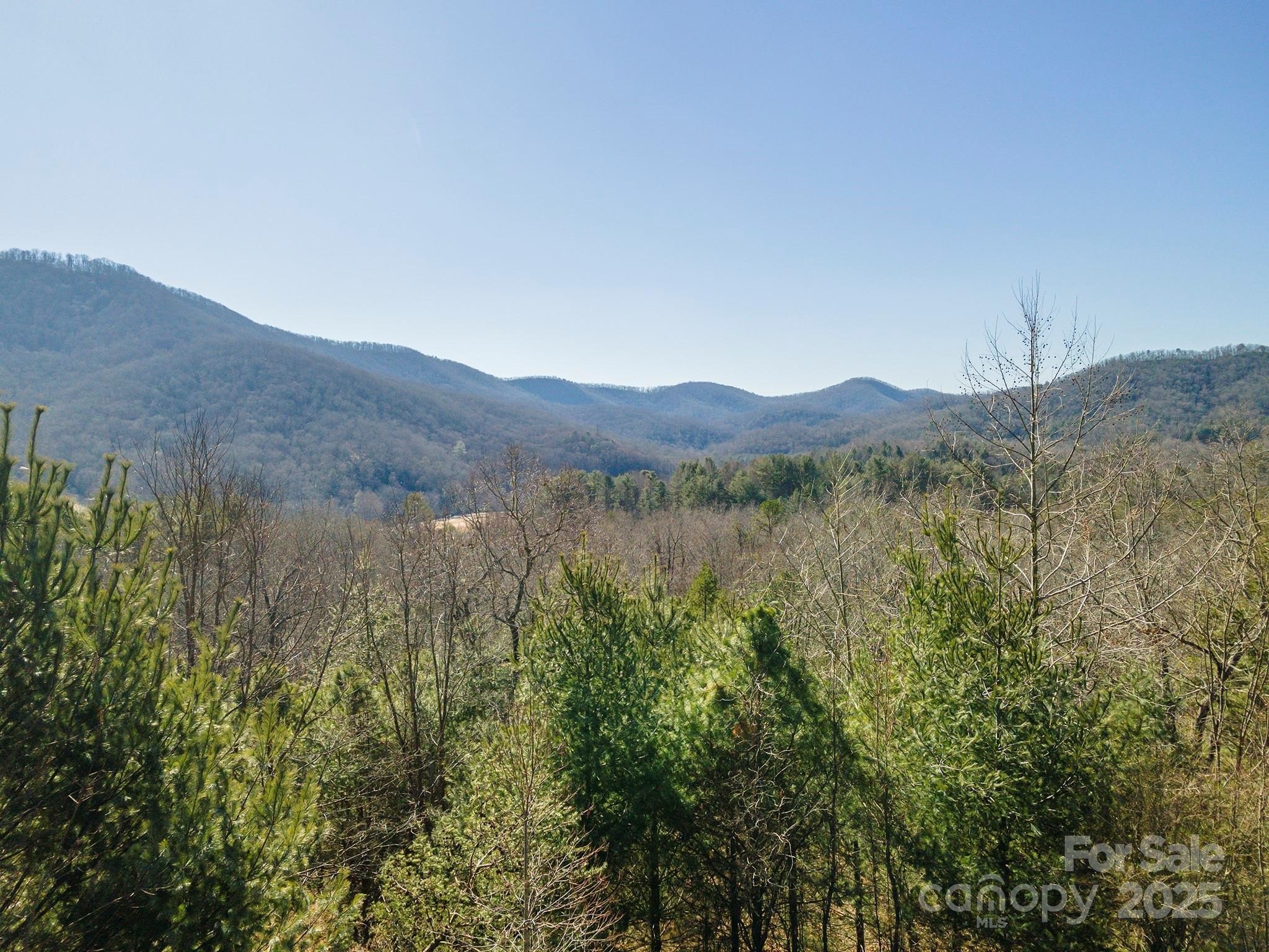 Other - 99999 Woodhen Way 138 & 139, Horse Shoe, NC