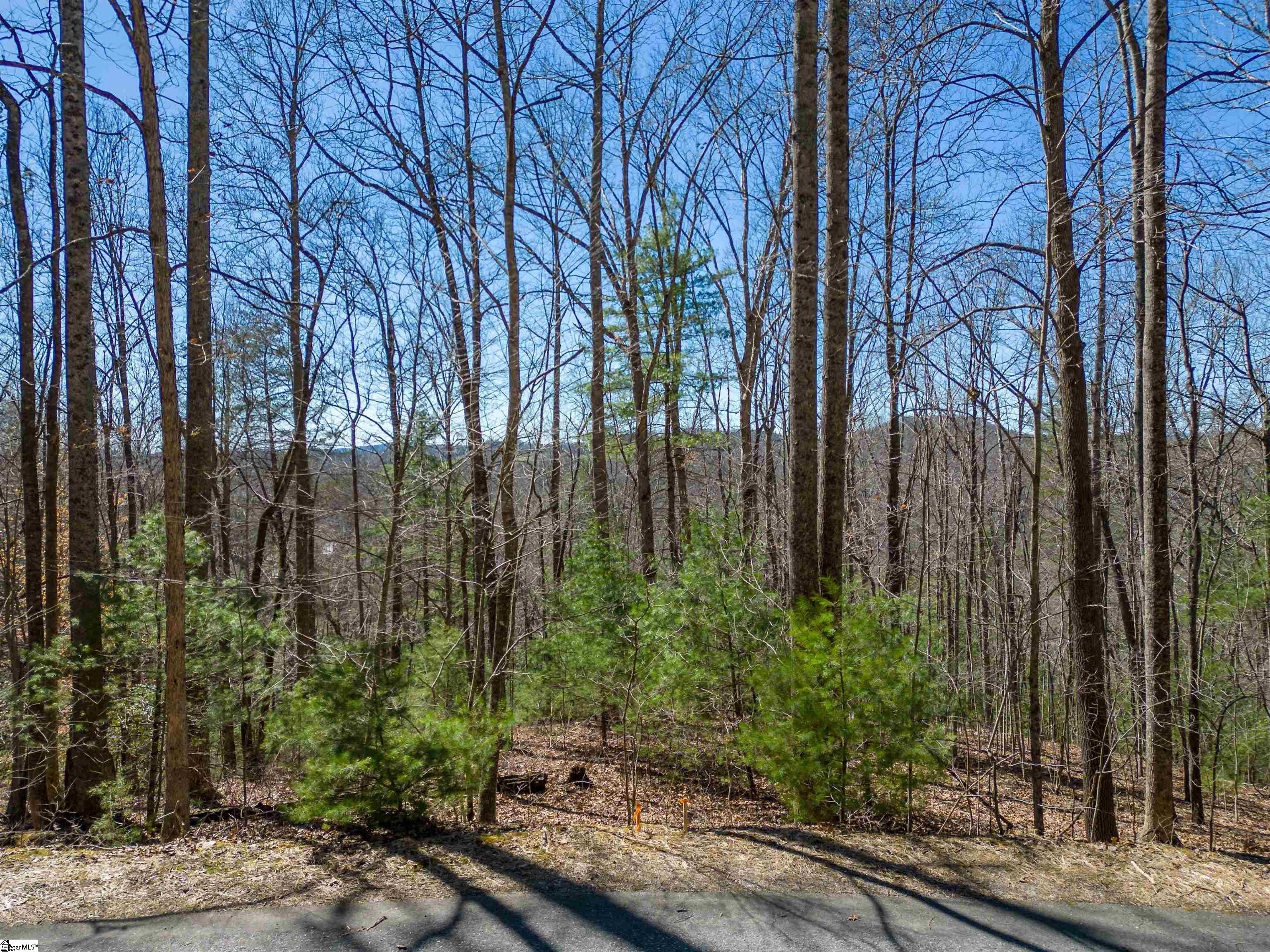 Other - 132 Overlook Park Drive, Hendersonville, NC