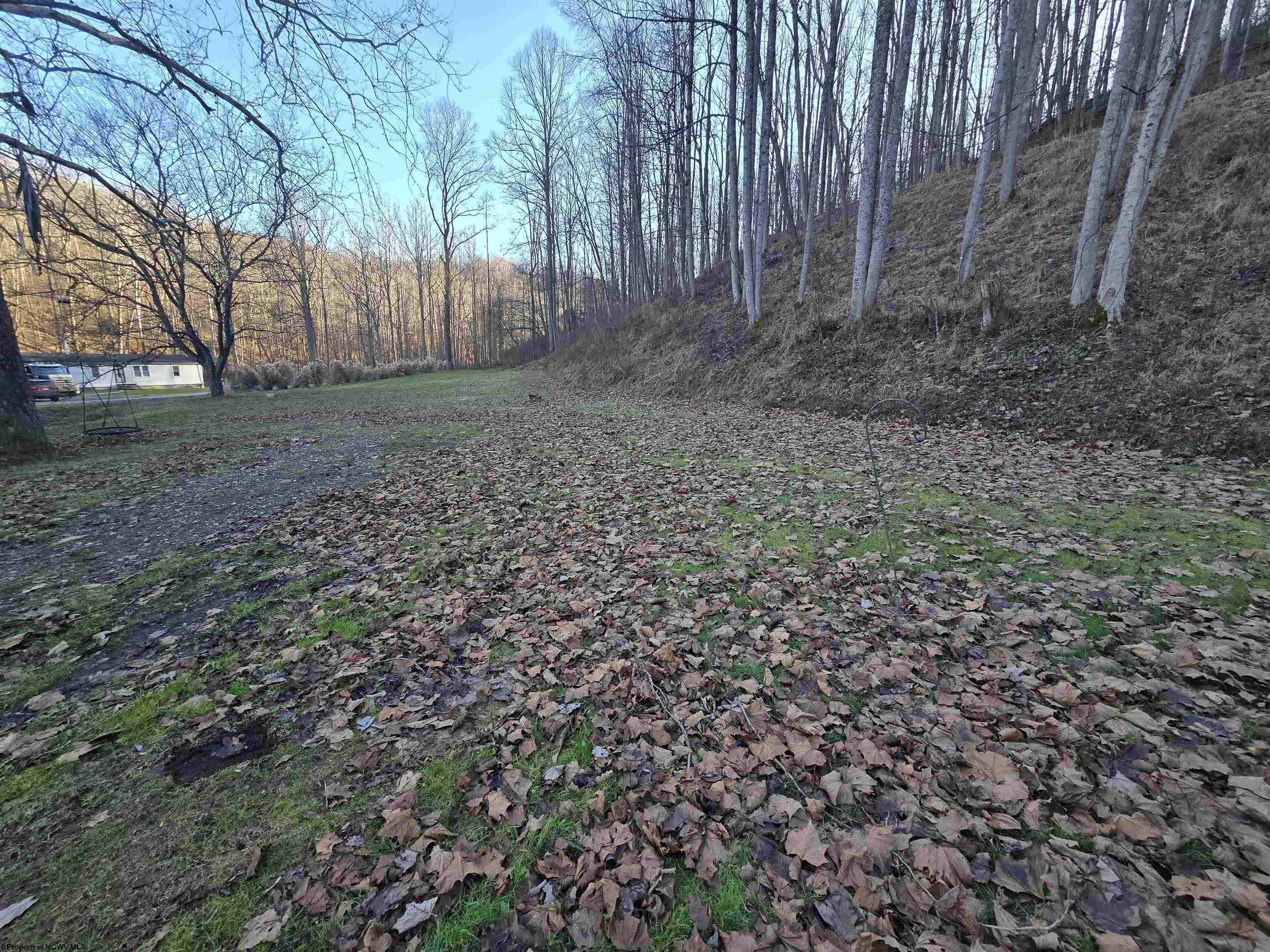 Single Family 3BR 2BA - 7720 US HWY 33 West, Camden, WV