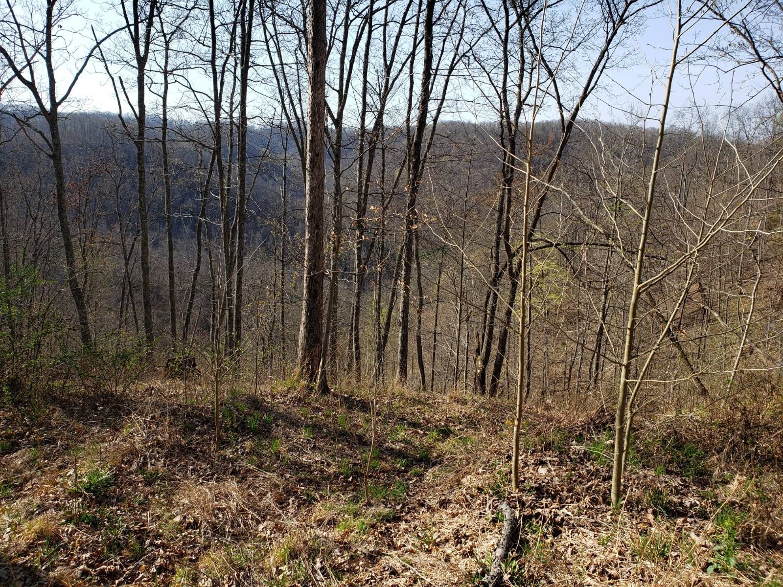 Other - Wilsie Rd, Frametown, WV