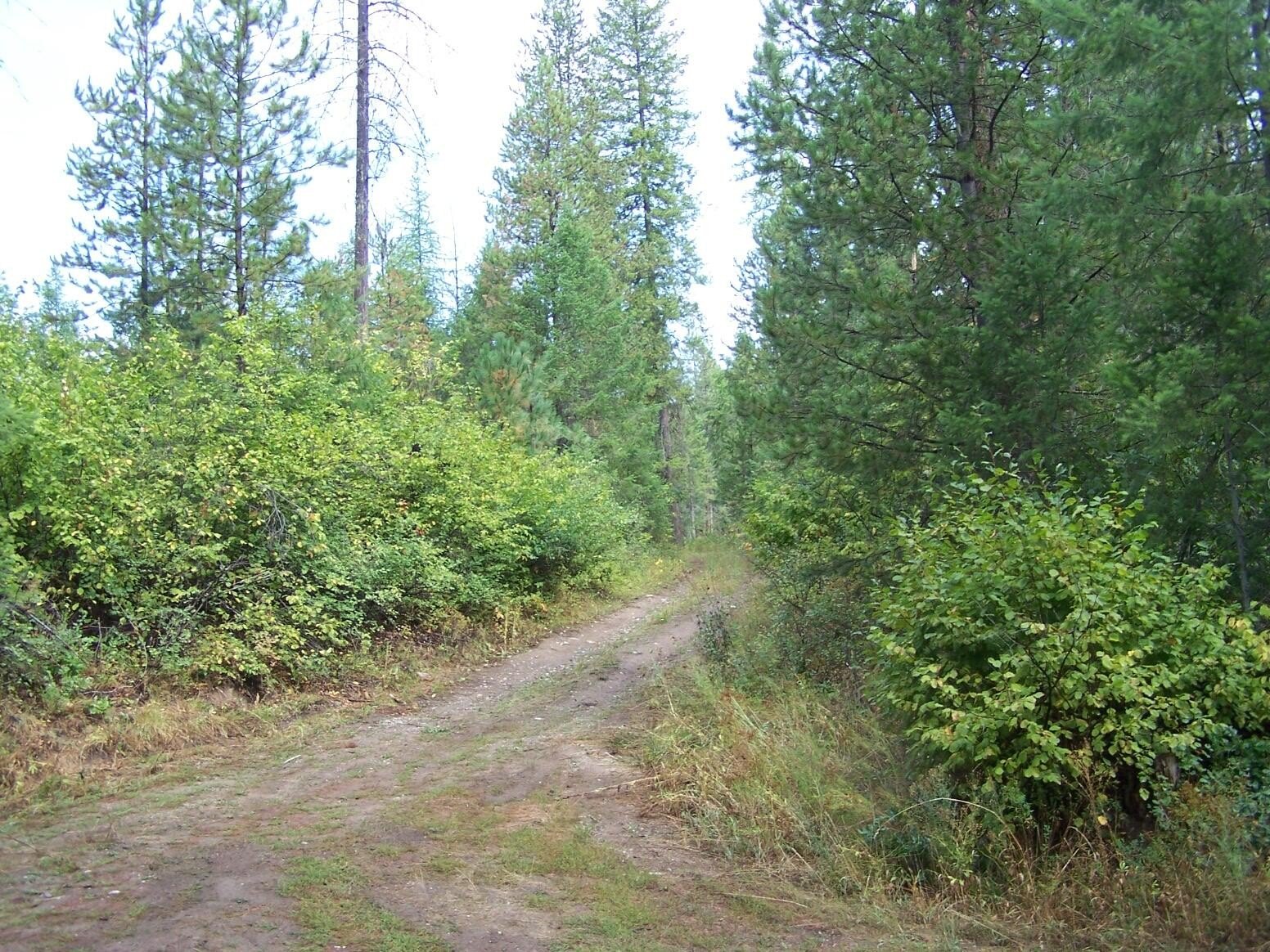 Other - 3XXX LARKSPUR WAY  LOT 13, KETTLE FALLS, WA