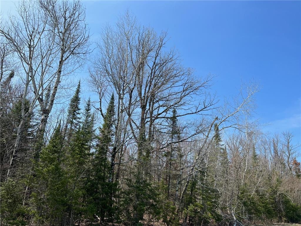 11tbd Gulley Rd  
