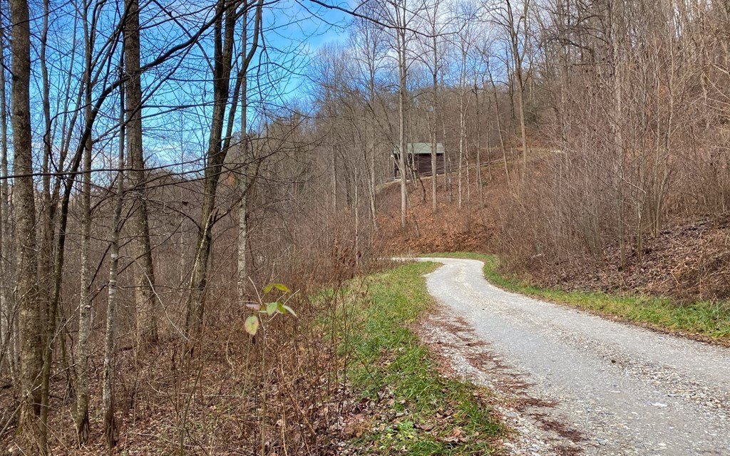 Other - Georgianna Lane lot: M2, BRYSON CITY, NC