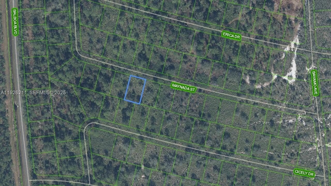 Other - 8725 MAYNADA ST, Sebring, FL
