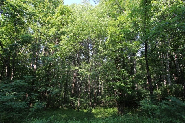 Other - 108 Point Lookout Ln. lot: 108, Independence, VA