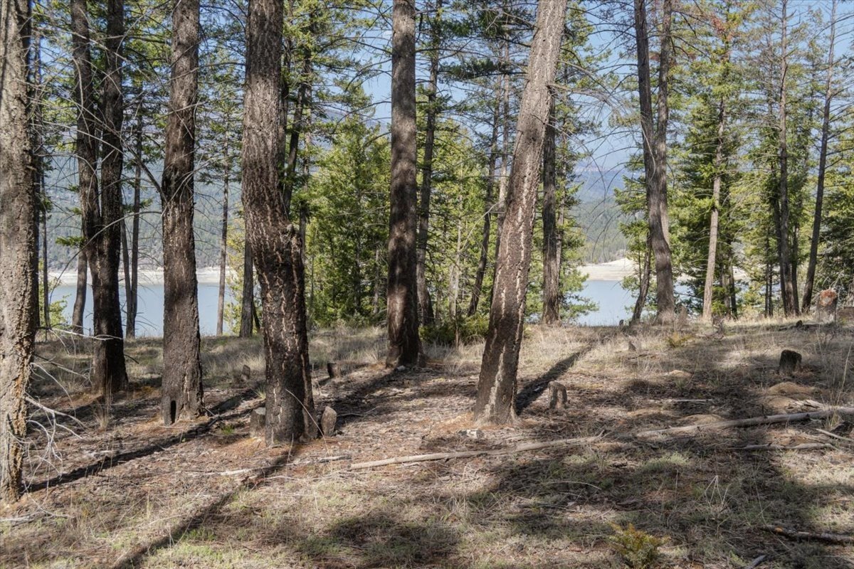 Other - NHN Cove Drive, Rexford, MT