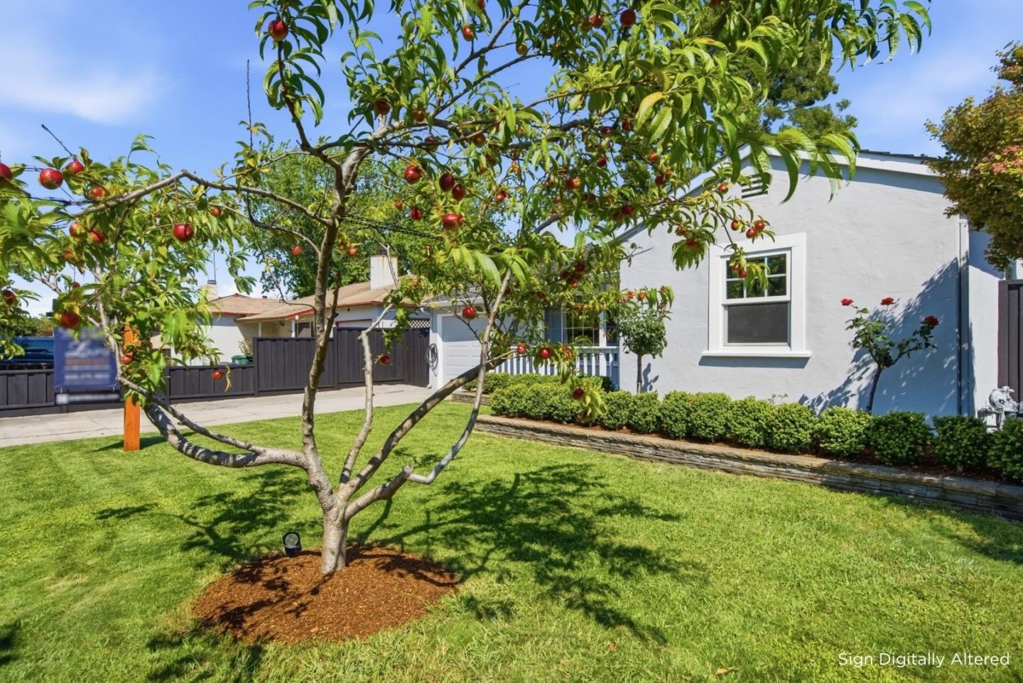 Single Family 2BR 1BA - 916 5th AVE, REDWOOD CITY, CA