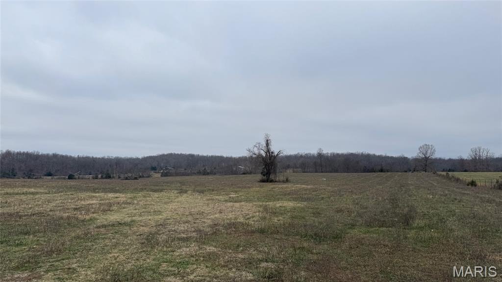 Plots and Land - 1 Ripley Z-4, Gatewood, MO