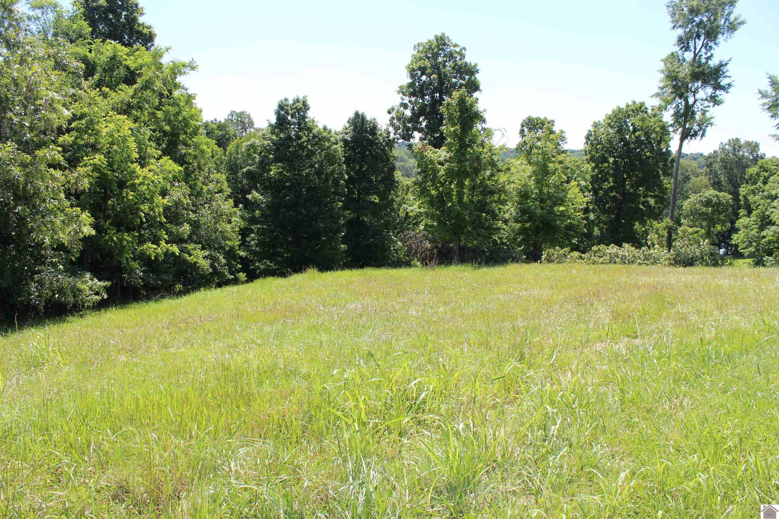 Other - Oak View Lane lot: 11, Eddyville, KY