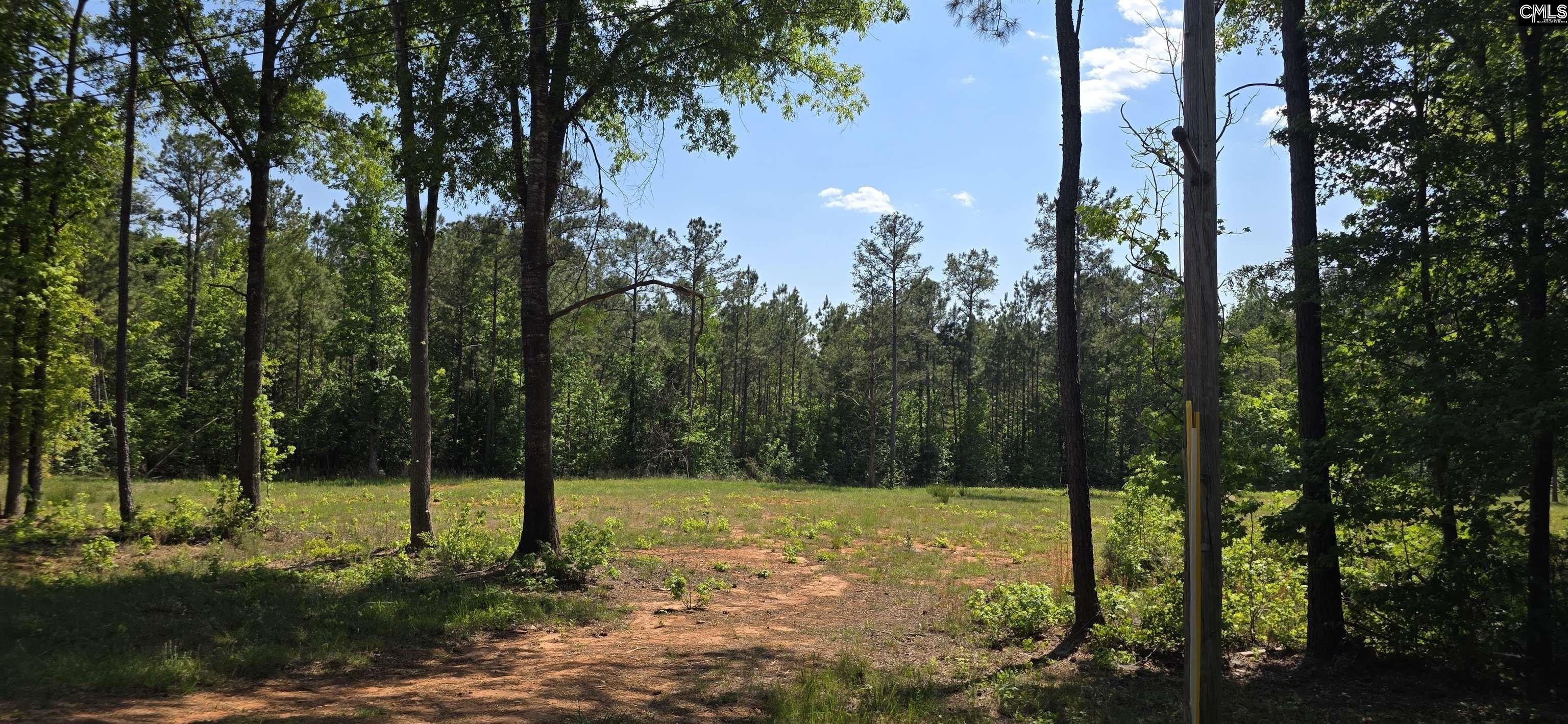 Other - Trade Mill Road, Winnsboro, SC