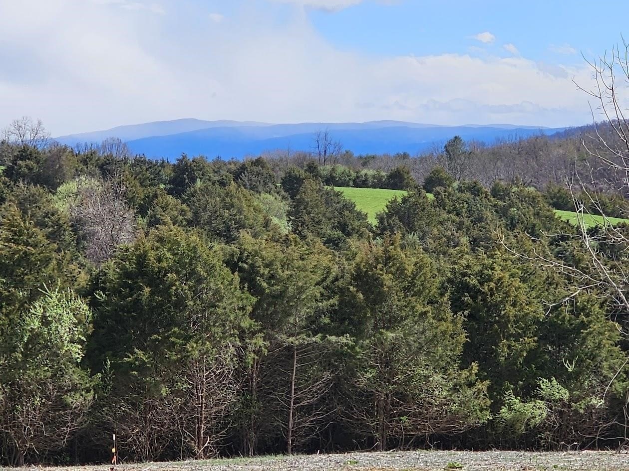 Other - Lot 5 BERRY FARM RD, STAUNTON, VA