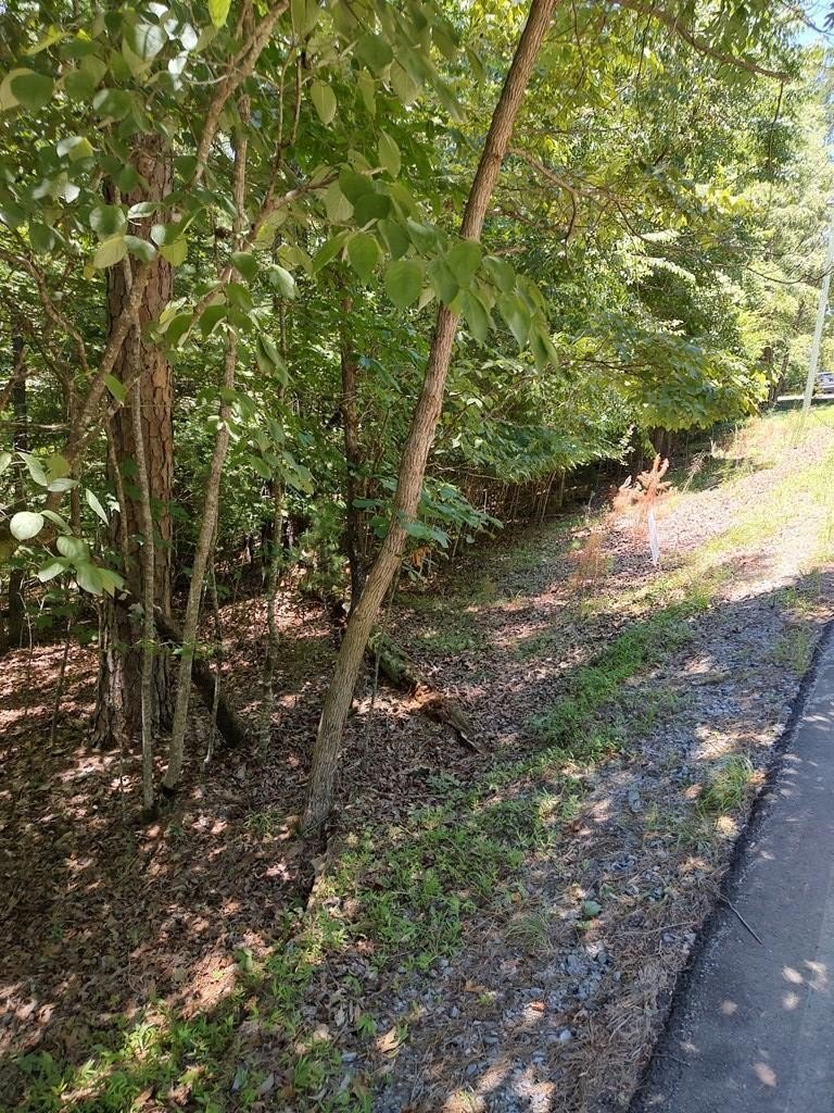 Other - Lot 853 Matrix Lane, Ellijay, GA