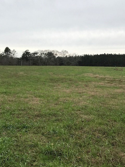 Single Family - 0 Rolling Ridge Lot 71, Poplarville, MS