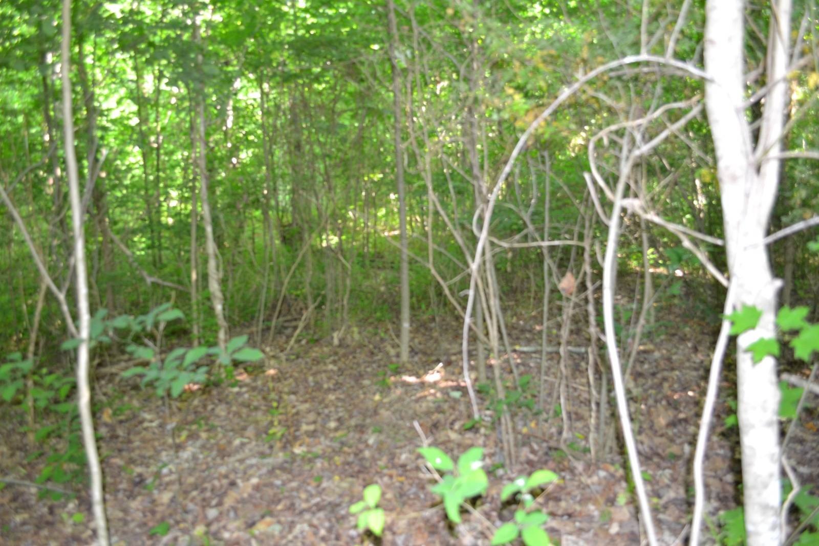 Other - 5ac Dynamite Lane, Livingston, TN