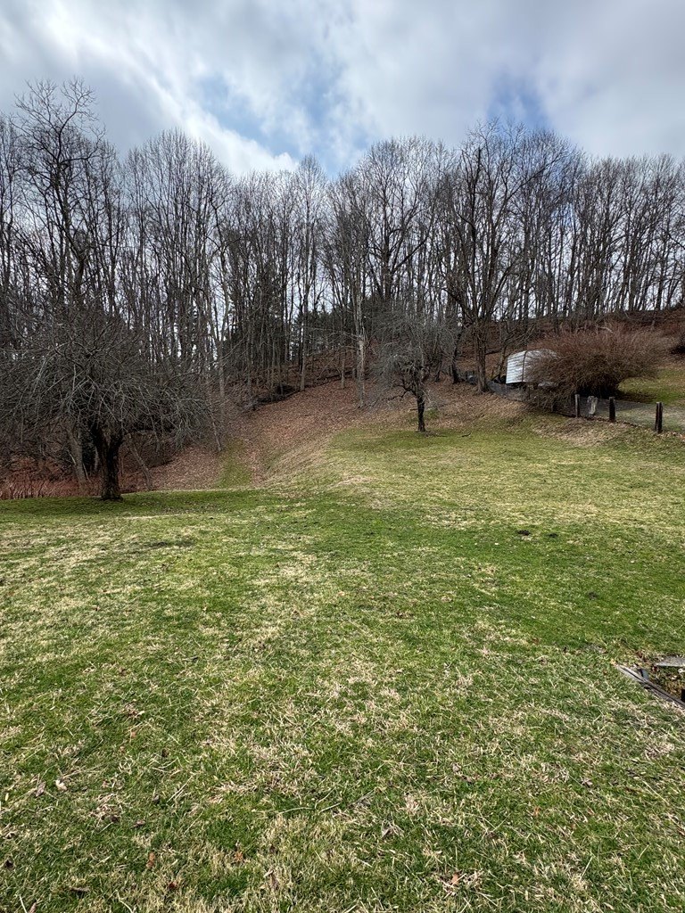 Single Family 2BR 2BA - 477 Abney Road, COAL CITY, WV