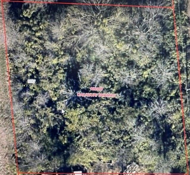 Other - TBD LOT 121-122 Richard Drive, Gordonville, TX