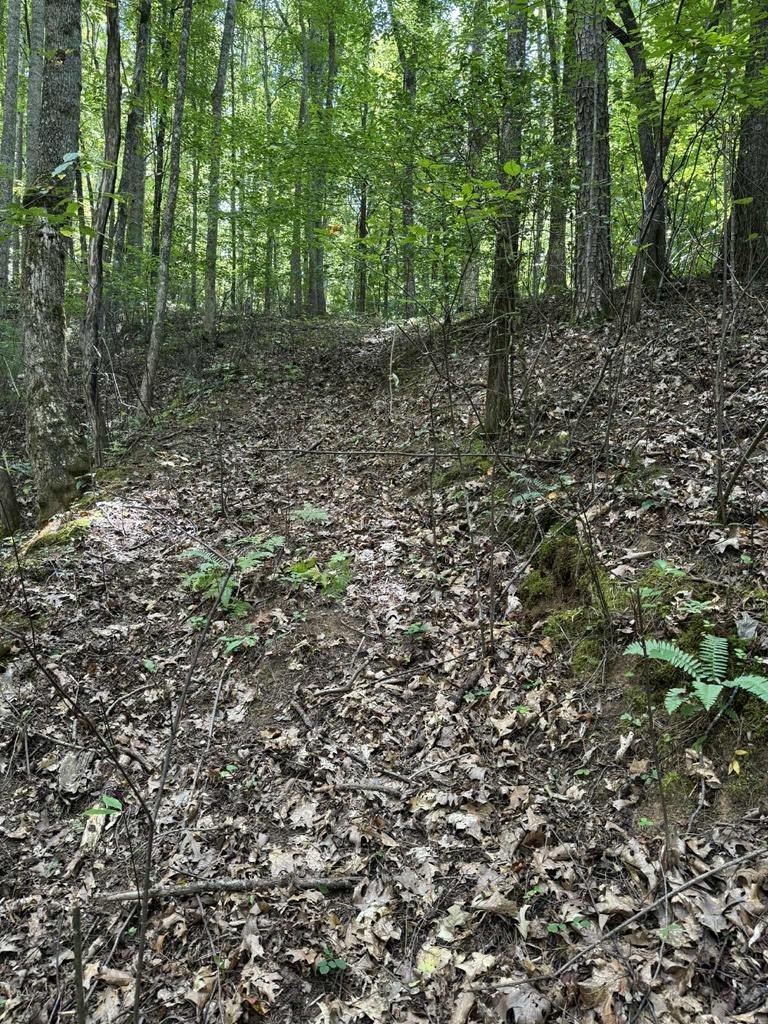 Other - Brendle Rd lot: 5, Franklin, NC