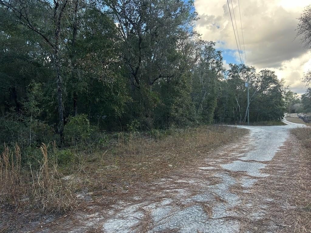 Other - 73rd Ln, Bronson, FL