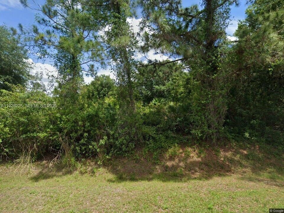 Other - 720 SCOTT AVE, Lehigh Acres, FL