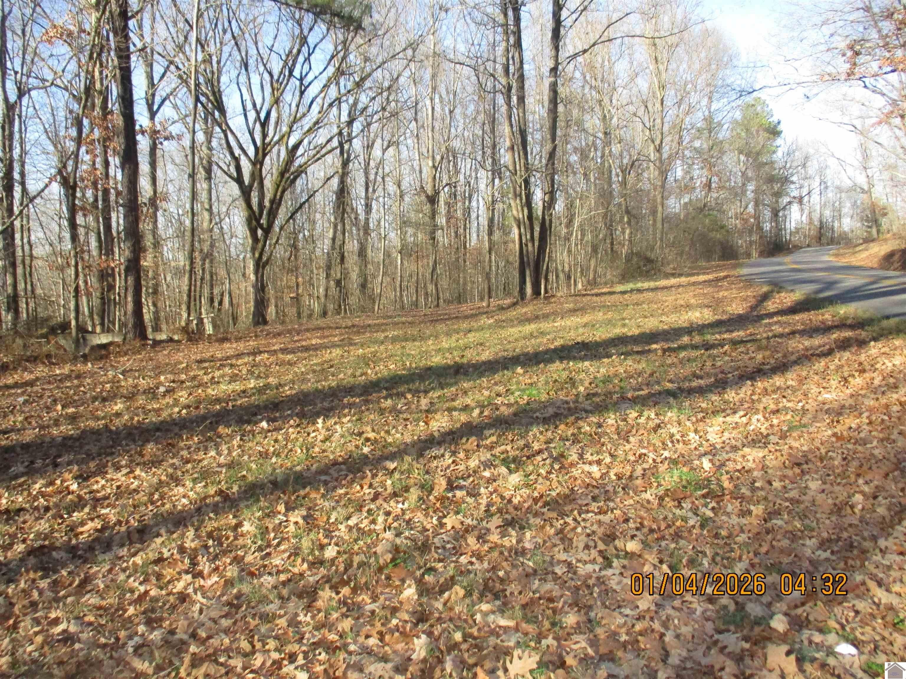 Other - Downing Rd, Kirksey, KY