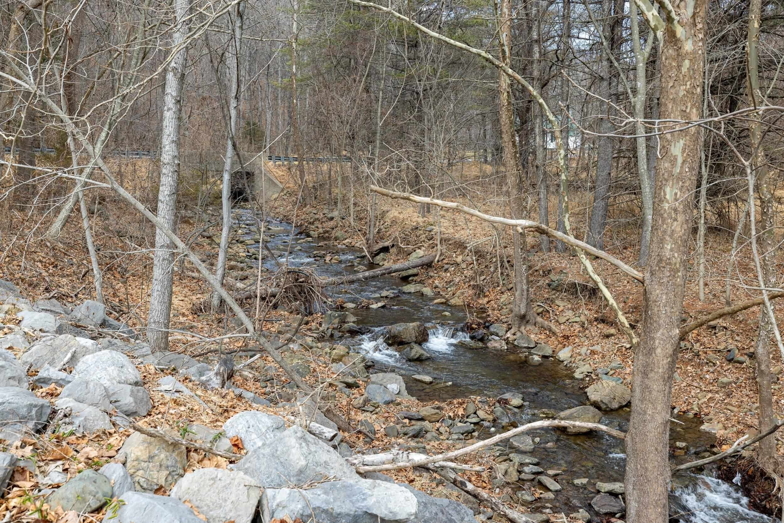Single Family 4BR 3BA - 2800 ROCKY BRANCH RD, LURAY, VA