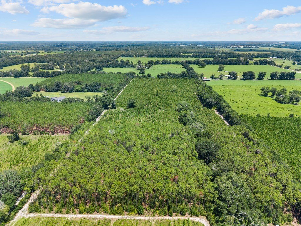 Other - 0 County Road 341, Bell, FL