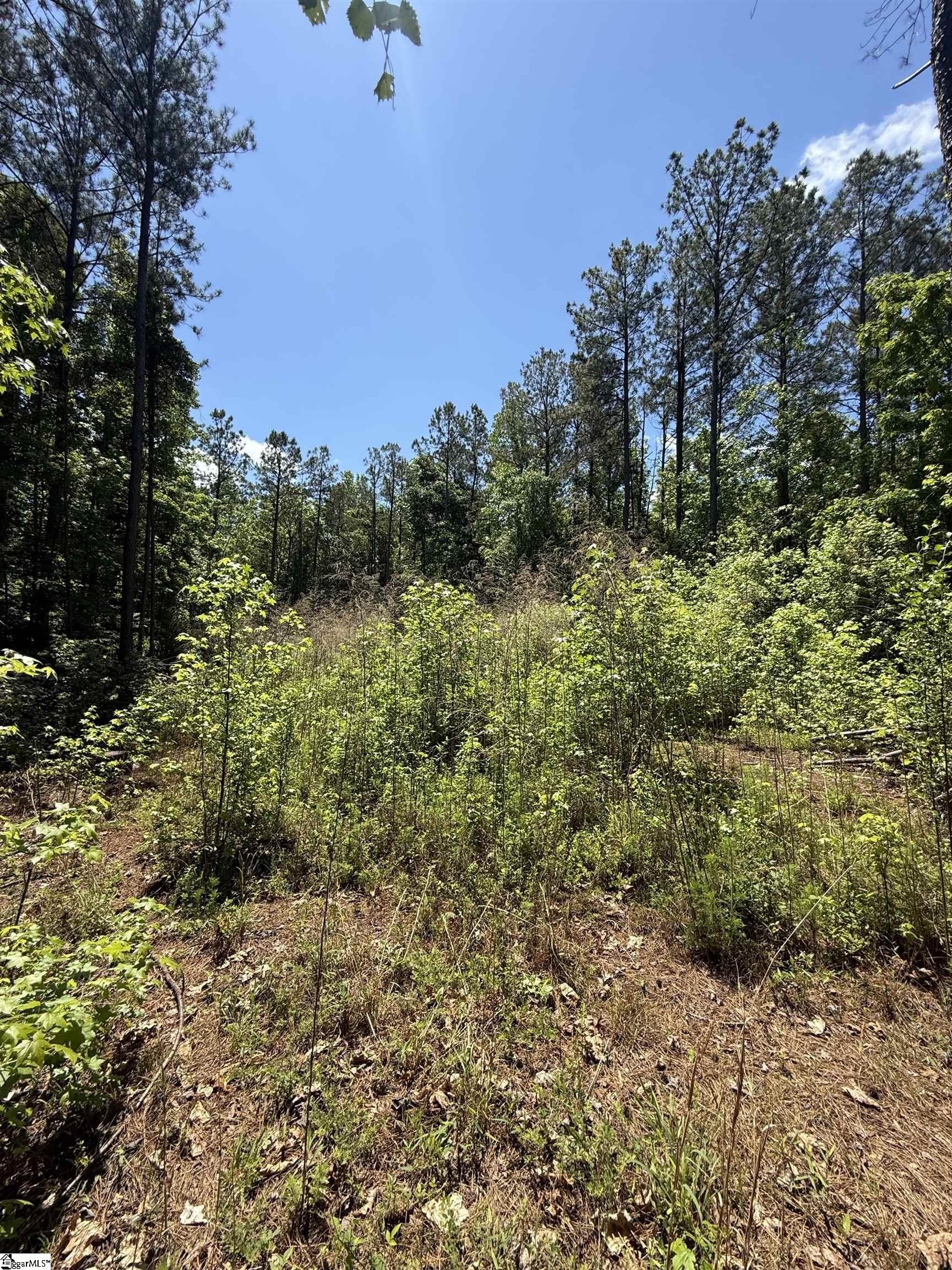 Other - 106 Fawn Drive, Honea Path, SC
